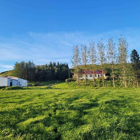 The Old House Apartment Selfoss Exterior photo