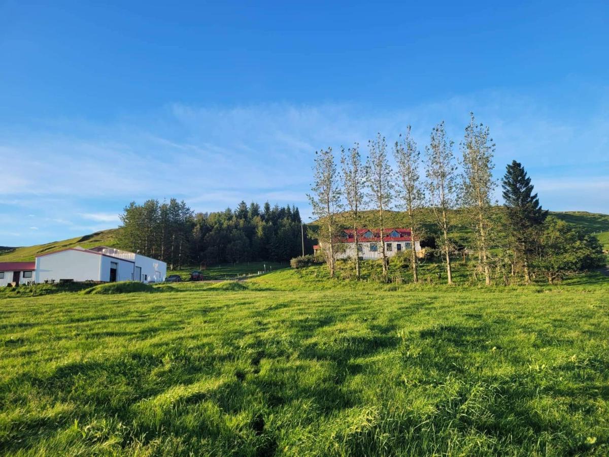 The Old House Apartment Selfoss Exterior photo